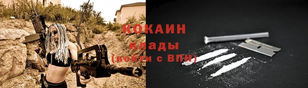 стафф Бородино