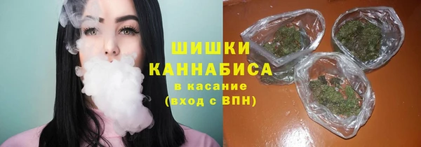 стафф Бородино