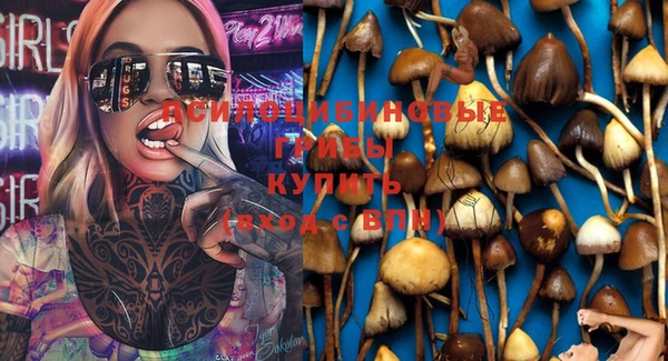apvp Бронницы