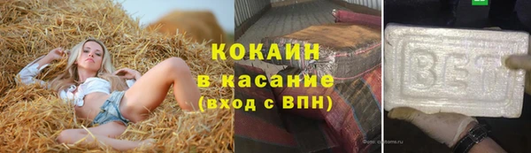 стафф Бородино