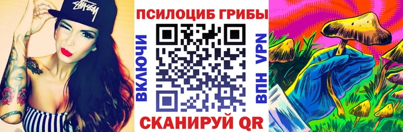сколько стоит  Шуя  Галлюциногенные грибы Psilocybe 
