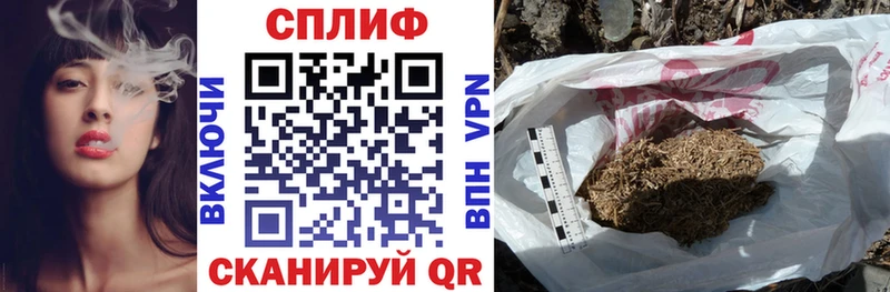 Каннабис конопля  Шуя 